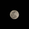 Super Moon 2019