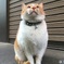 上から目線