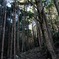 熊野古道