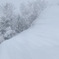 夢心地