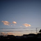 写レンズで撮ってみました①