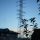 DSC00061