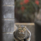 ブロック塀上の猫