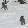 まってー