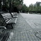大通り公園