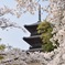 山陰 清水寺