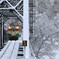 着雪を横目に…