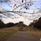 四季の森公園1