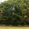 四季の森公園3