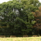 四季の森公園4