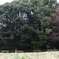 四季の森公園5