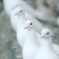 2559725B-9C9A-4829-8C37-31A76F39B6A5