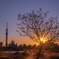 荒川の夕陽
