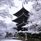 京都 雪景色 真如堂 II