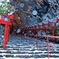 貴船神社 積雪ライトアップ