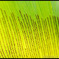 ~~CoLor.~~ 04