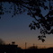 夕暮れ