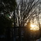 夕陽