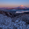 雪景色