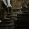 階段上のねこ