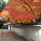 円照寺　紅葉