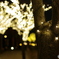 illumination