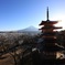 新倉山浅間公園