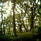 photo_844675