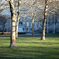 München おっきな公園　お散歩