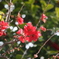 1FA1A883-34E6-4B6B-AAAA-49B2CB36BCB8