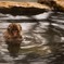 湯船で暖を得る子猿