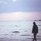 海