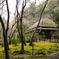嵐山_祇王寺01