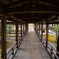 嵐山_大覚寺01