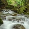 夏の谷太郎川