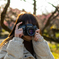 CONTAX RTS