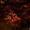 FCE71035-105B-48FC-B057-78C776ED8023