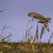 2019-13802-Edit