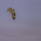 2019-12071-Edit