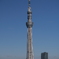 skytree