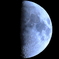 CANON EF100-400mm F4.5-5.6L IS II USM