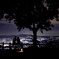 若草山からの夜景