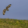2019-11634-Edit