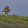 2019-11278-Edit