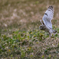 2019-11346-Edit