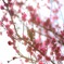 588A7365-41E7-44B7-9AA1-53A98A311B0C