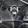 INTREPID