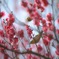 A7A29D2A-8168-40CC-99D0-9C7045CB686C