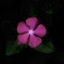 4BCD7BC4-756B-42B5-A3B0-4282DA2566B5