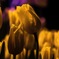 28DA4C08-1477-45A2-8CA2-09915C57E608